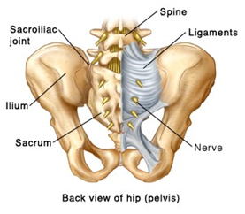Sacroiliac Joint SI Pain Sacroiliac Joint SI Pain